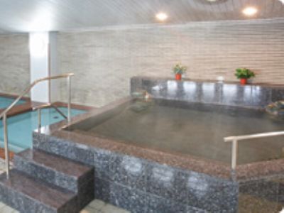 Ikenotaira Shirakaba Kogen Hotel Tateshina  Extérieur photo